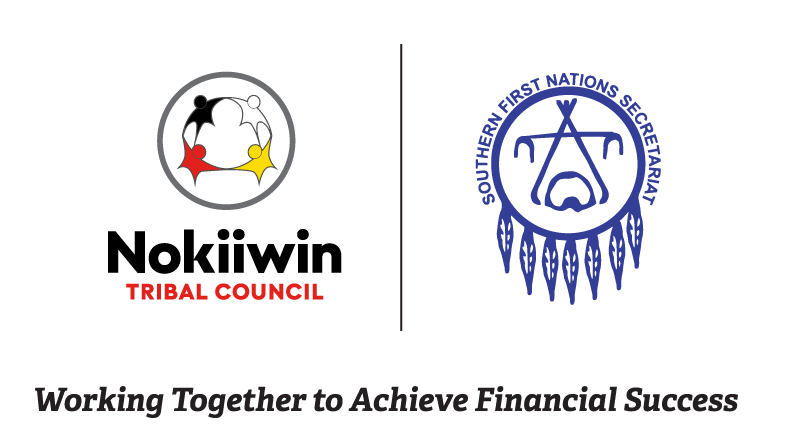 nokiiwin and sfns logos for financial success